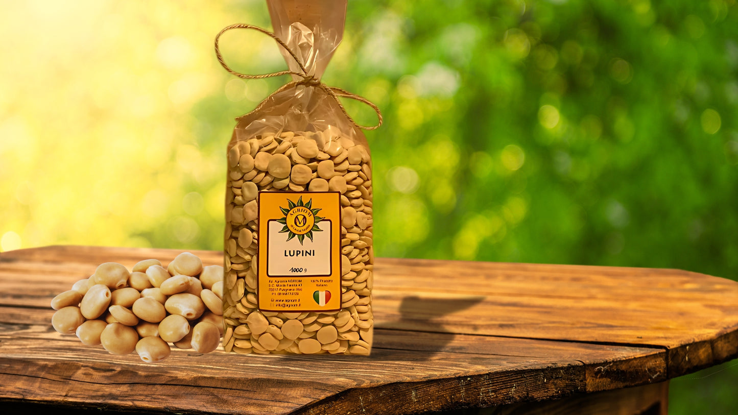Lupini Secchi