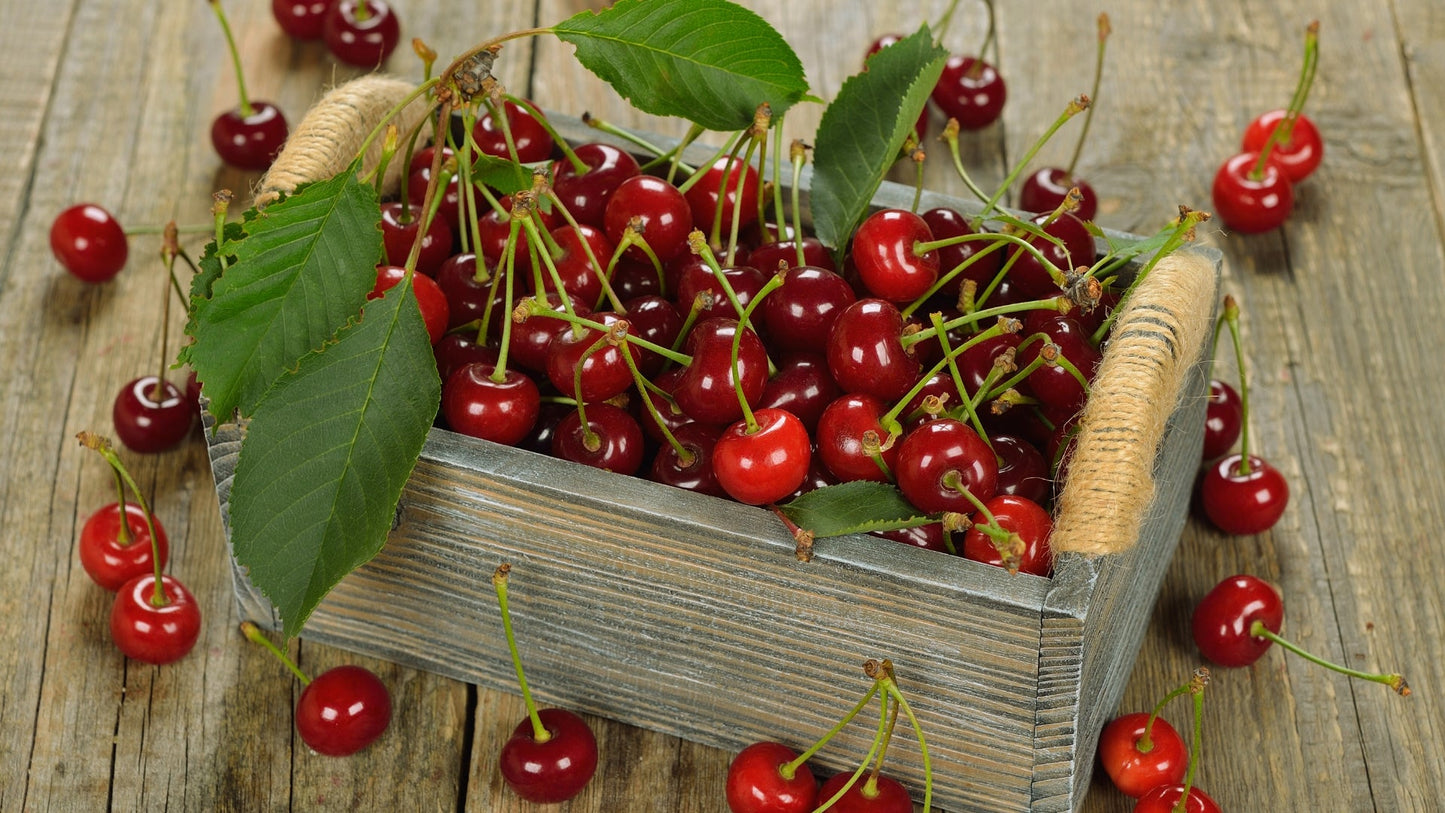 Ciliegie FrescheAgriOM