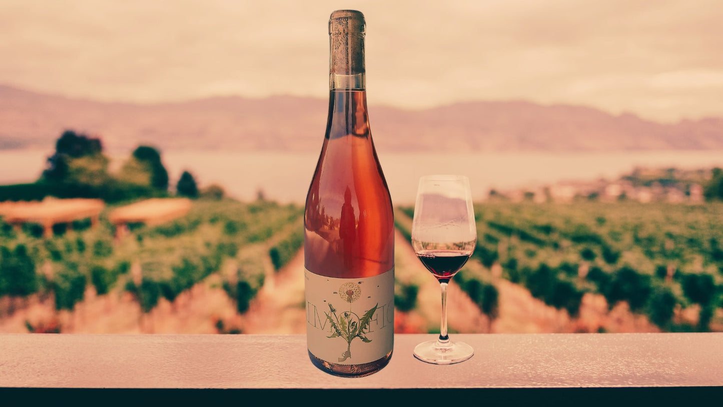 Vino Rosè PrimitivoAlimentariAgriOM