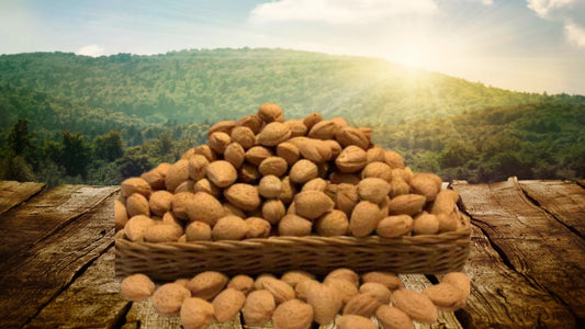 Mandorle con GuscioAlimentariAgriOM